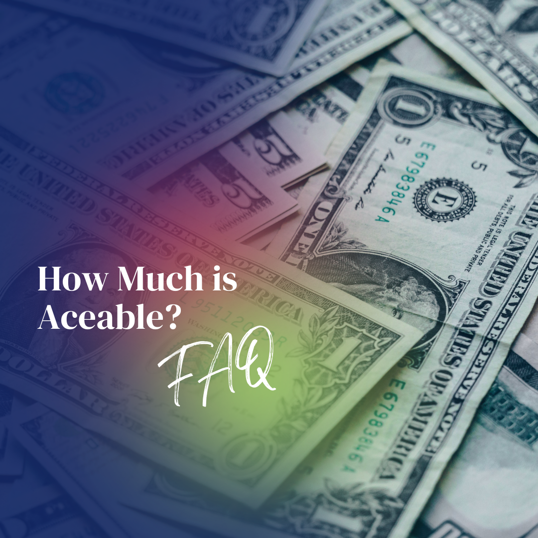 Featured image for “How Much is Aceable?”